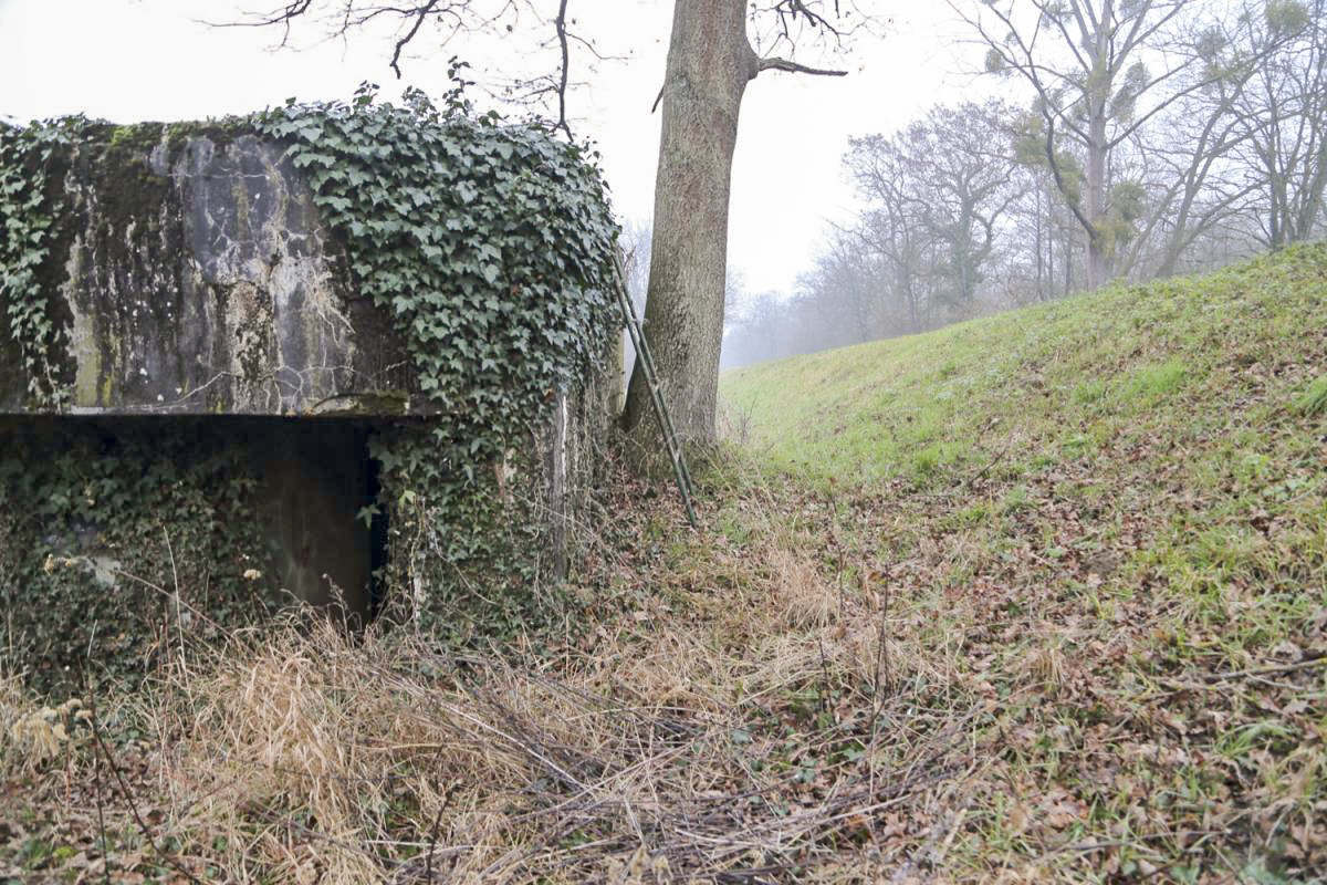 Ligne Maginot - 7 - WANTZENAU DIGUE 4 - (Blockhaus pour arme infanterie) -  - A. SCHOEN