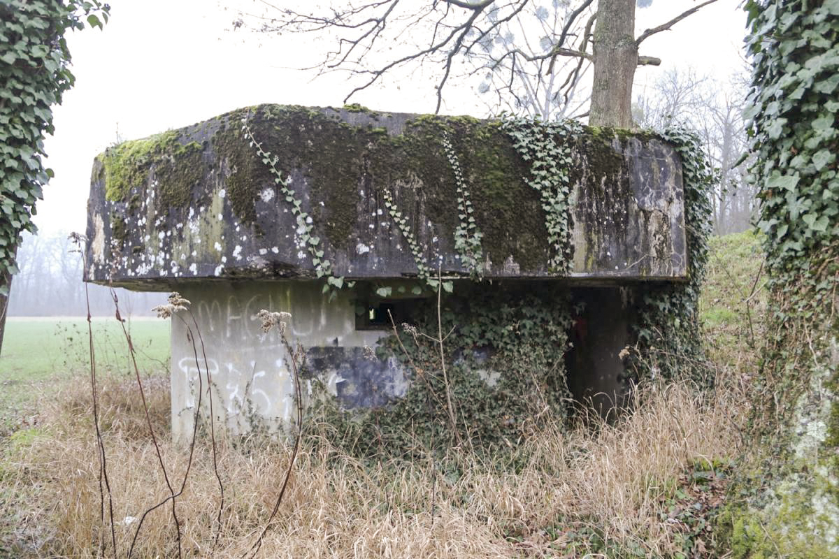 Ligne Maginot - 7 - WANTZENAU DIGUE 4 - (Blockhaus pour arme infanterie) -  - A. SCHOEN