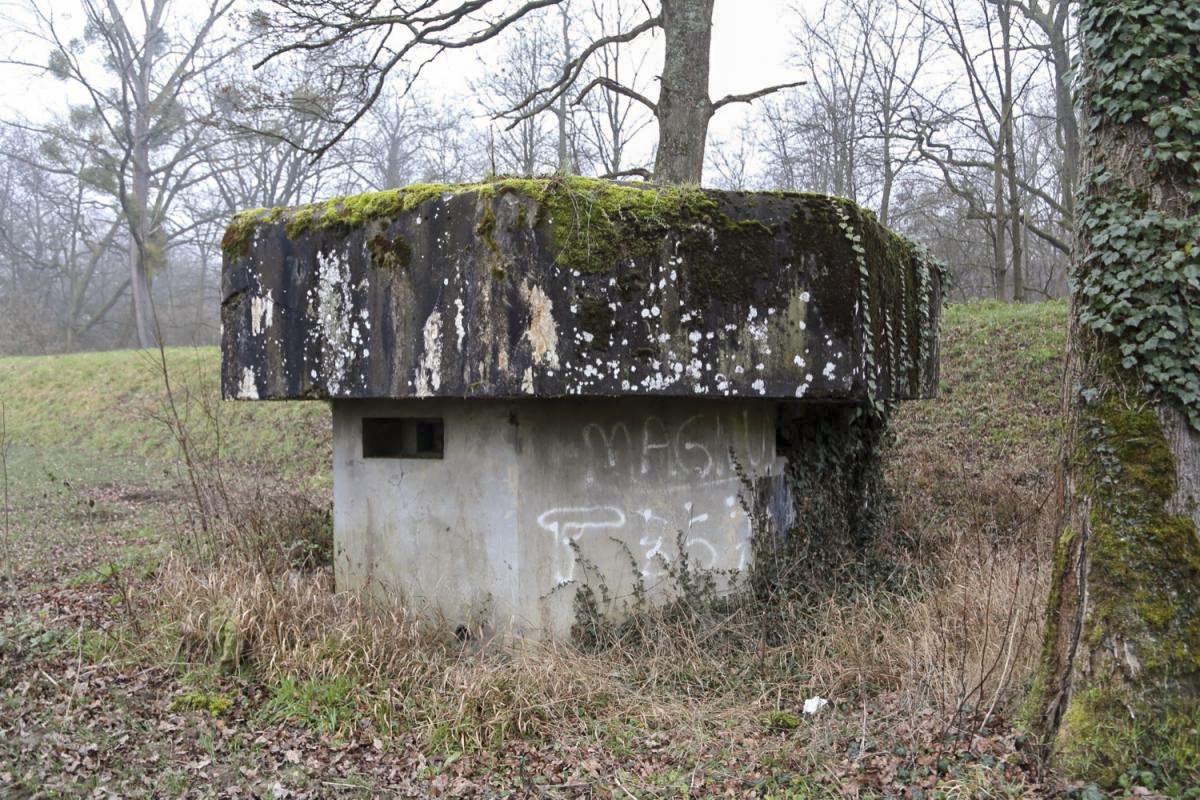 Ligne Maginot - 7 - WANTZENAU DIGUE 4 - (Blockhaus pour arme infanterie) -  - A. SCHOEN