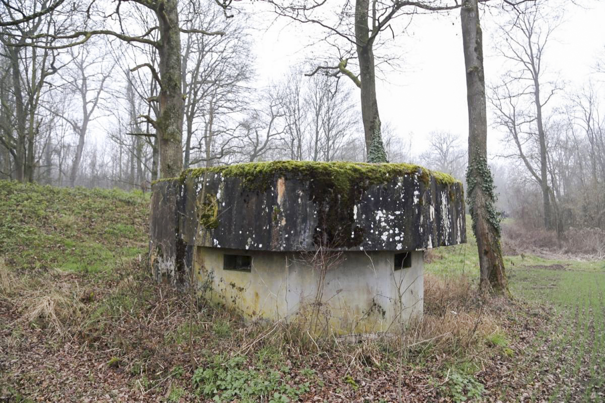 Ligne Maginot - 7 - WANTZENAU DIGUE 4 - (Blockhaus pour arme infanterie) -  - A. SCHOEN