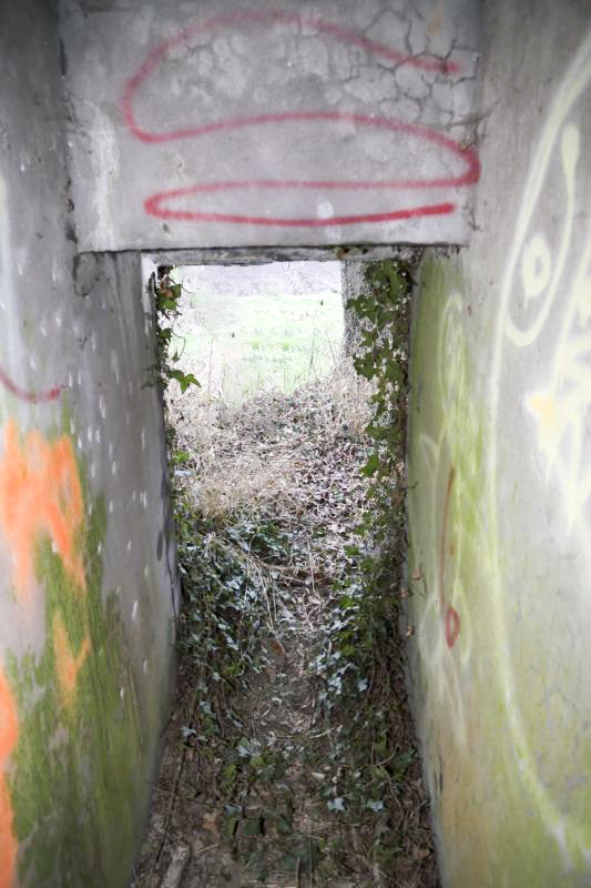Ligne Maginot - 7 - WANTZENAU DIGUE 4 - (Blockhaus pour arme infanterie) -  - A. SCHOEN