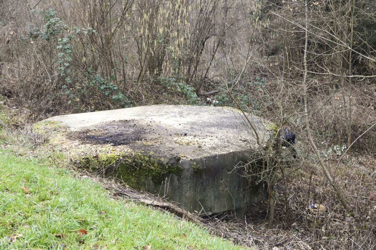 Ligne Maginot - 8 - WANTZENAU DIGUE 3 (Blockhaus pour arme infanterie) -  - Les Gardiens du Rhin - A. SCHOEN