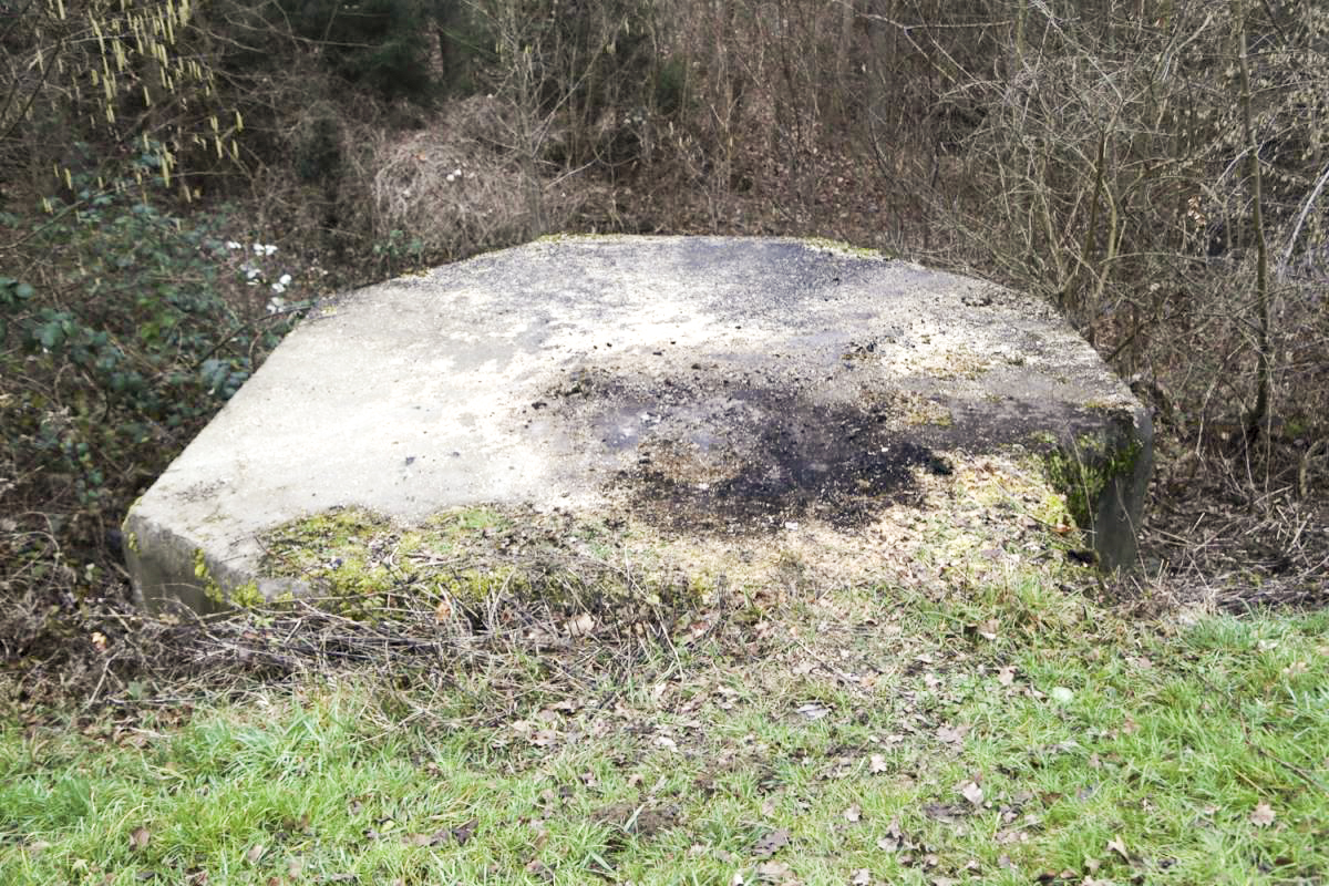 Ligne Maginot - 8 - WANTZENAU DIGUE 3 (Blockhaus pour arme infanterie) -  - Les Gardiens du Rhin - A. SCHOEN