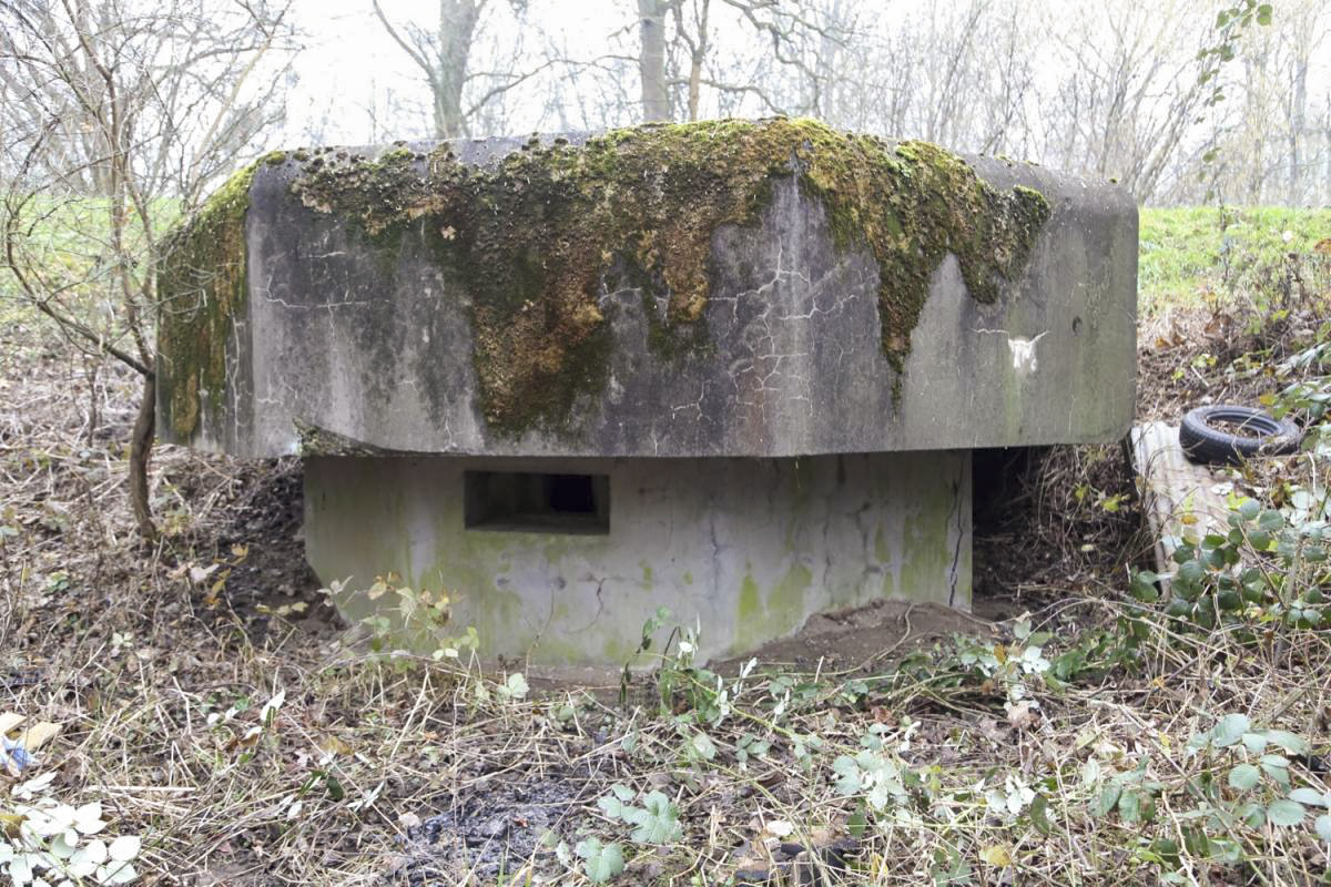 Ligne Maginot - 8 - WANTZENAU DIGUE 3 (Blockhaus pour arme infanterie) -  - Les Gardiens du Rhin - A. SCHOEN