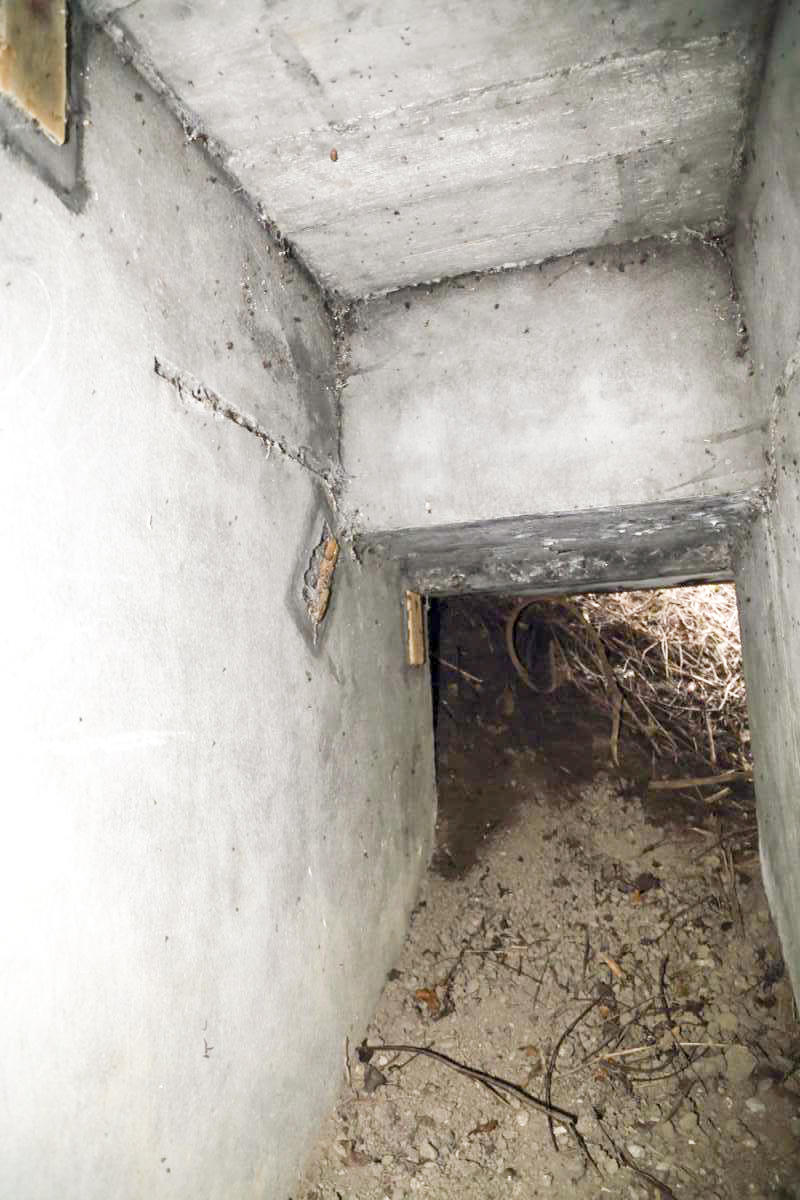 Ligne Maginot - 8 - WANTZENAU DIGUE 3 (Blockhaus pour arme infanterie) -  - Les Gardiens du Rhin - A. SCHOEN