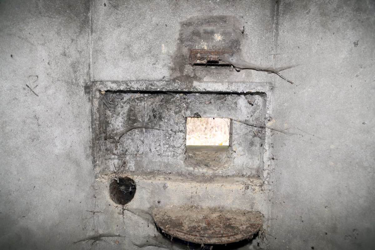 Ligne Maginot - 8 - WANTZENAU DIGUE 3 (Blockhaus pour arme infanterie) -  - Les Gardiens du Rhin - A. SCHOEN