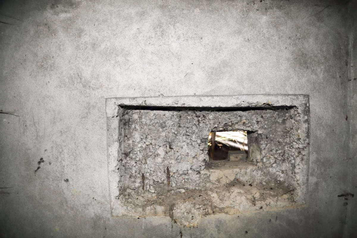 Ligne Maginot - 8 - WANTZENAU DIGUE 3 (Blockhaus pour arme infanterie) -  - Les Gardiens du Rhin - A. SCHOEN
