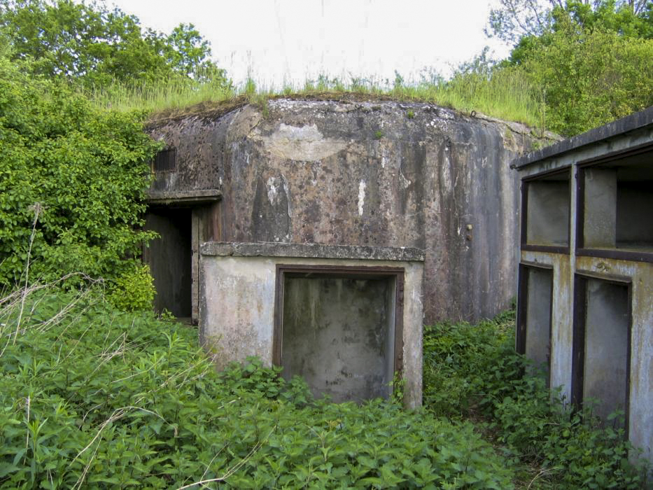 Ligne Maginot - 15/3 - MUEHLRHEIN (Casemate d'infanterie - double) - La casemate dans son inextricable végétation - Les Gardiens du Rhin