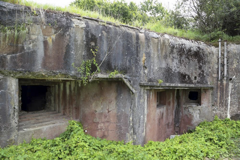 Ligne Maginot - 15/3 - MUEHLRHEIN (Casemate d'infanterie - double) - La casemate libérée de sa végétation - Les Gardiens du Rhin