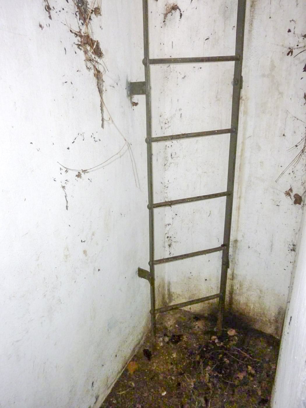 Ligne Maginot - A2 - (Chambre de coupure) -  - Christophe Haffner