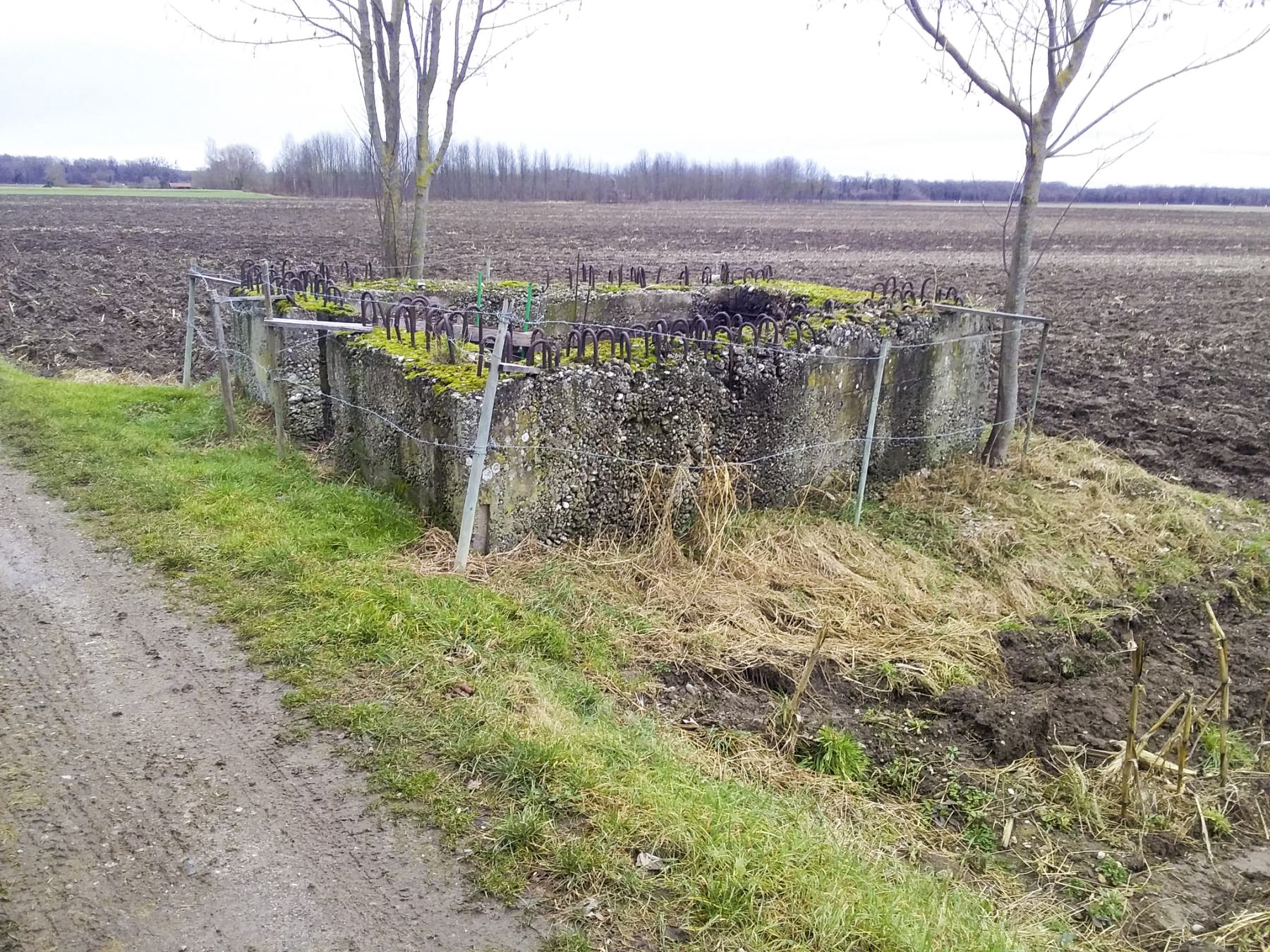 Ligne Maginot - STRAENGE - (Blockhaus pour canon) -  - Joël Muntzinger