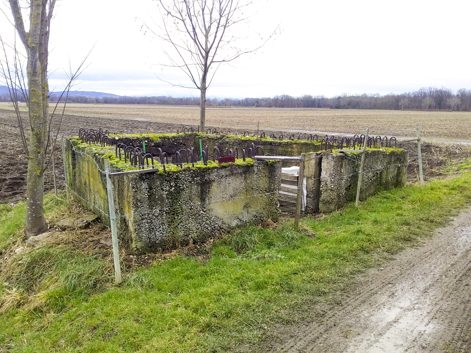 Ligne Maginot - STRAENGE - (Blockhaus pour canon) -  - Joël Muntzinger