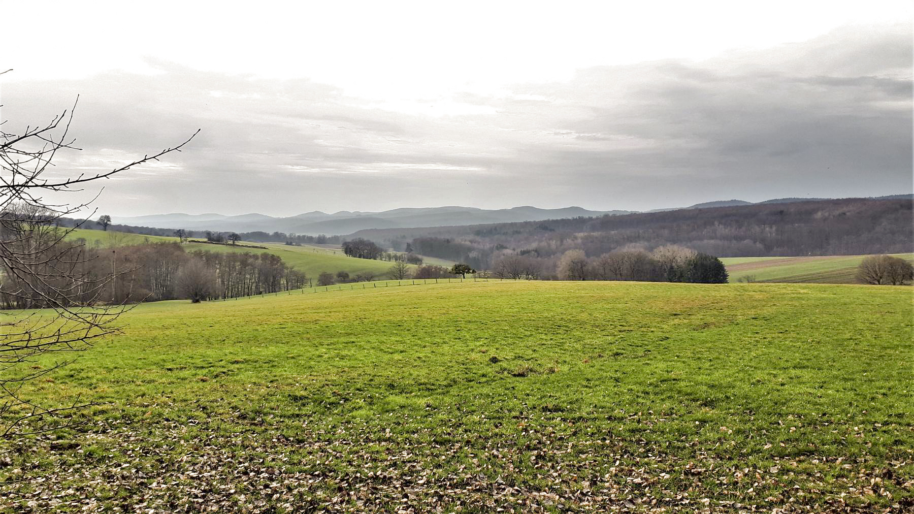 Ligne Maginot - HOCHWALD OUEST 4 - (Blockhaus pour arme infanterie) - Direction de tir du bloc - Gregory Fuchs