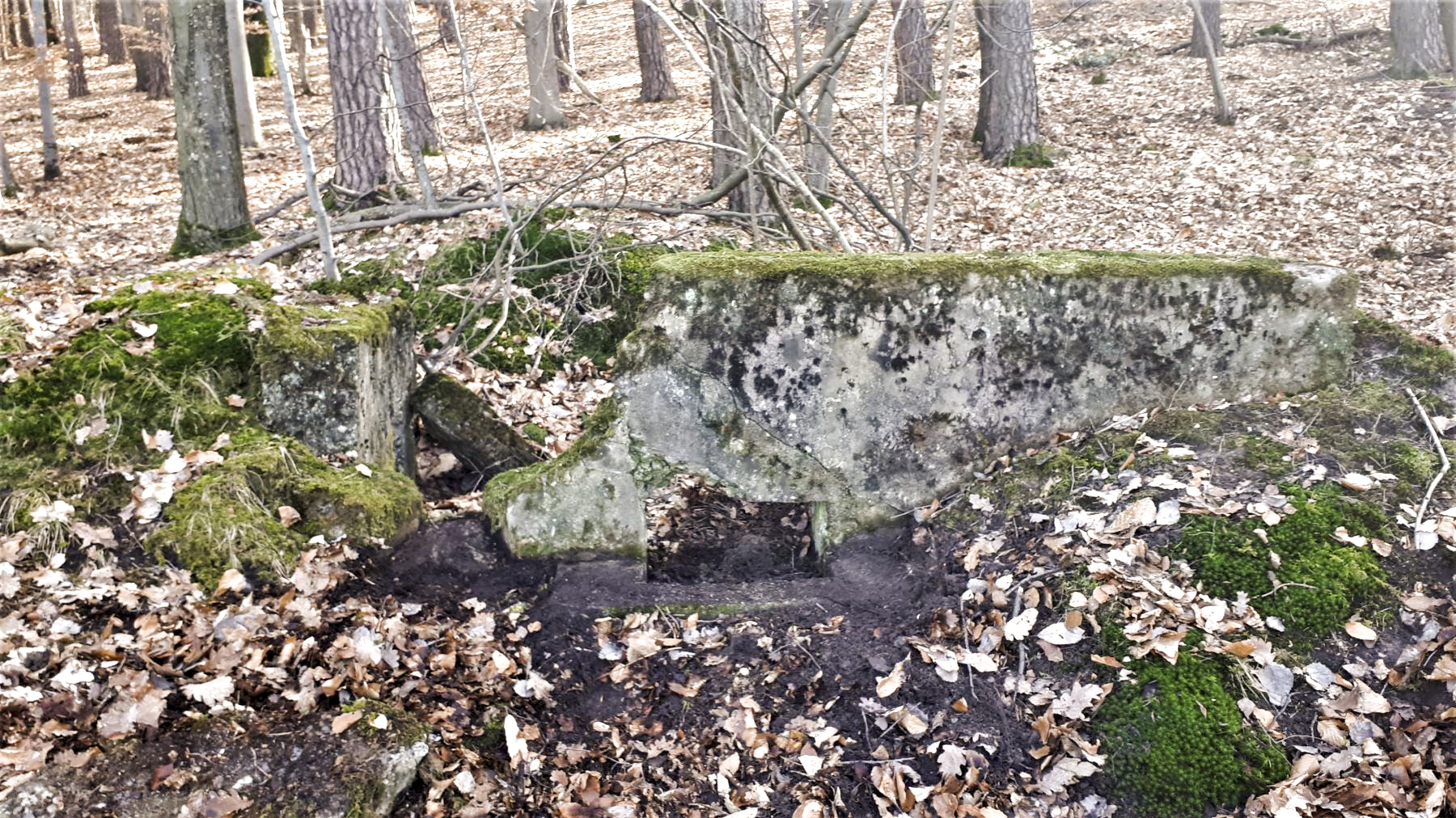 Ligne Maginot - HOCHWALD OUEST 4 - (Blockhaus pour arme infanterie) - A gauche le créneau d'observation, à droite le créneau de tir - Gregory Fuchs