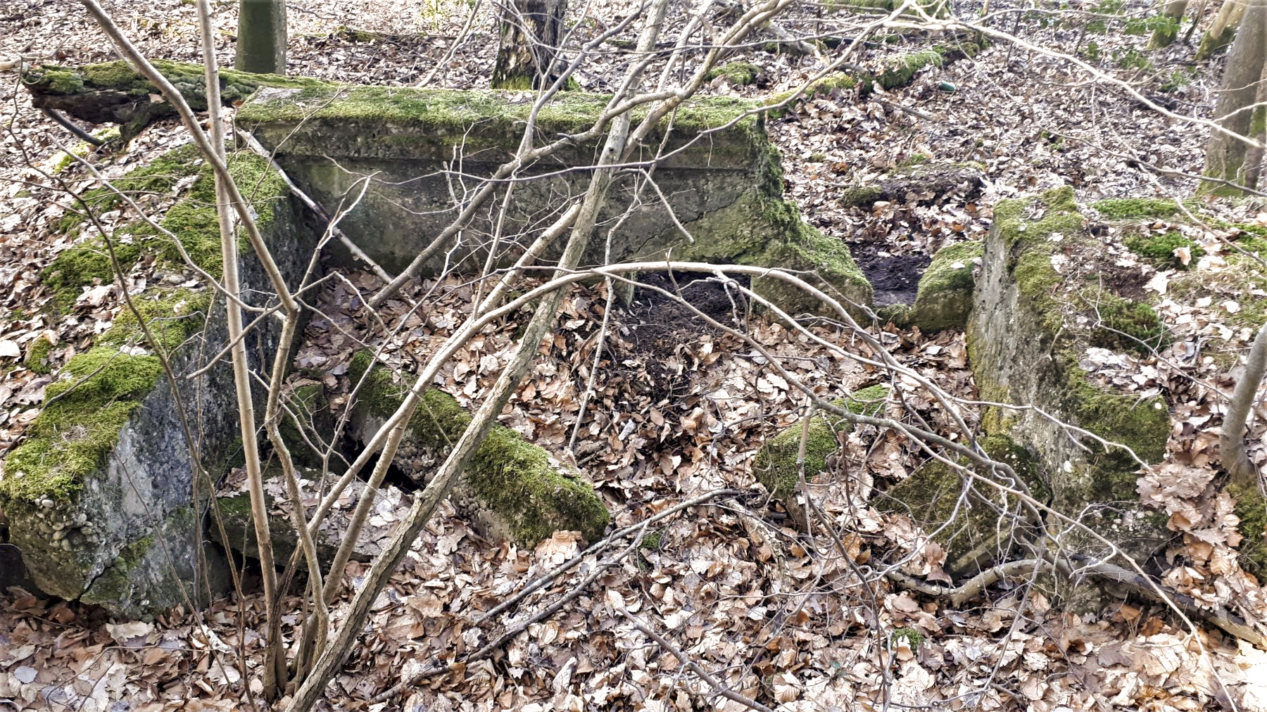 Ligne Maginot - HOCHWALD OUEST 4 - (Blockhaus pour arme infanterie) -  - Gregory Fuchs