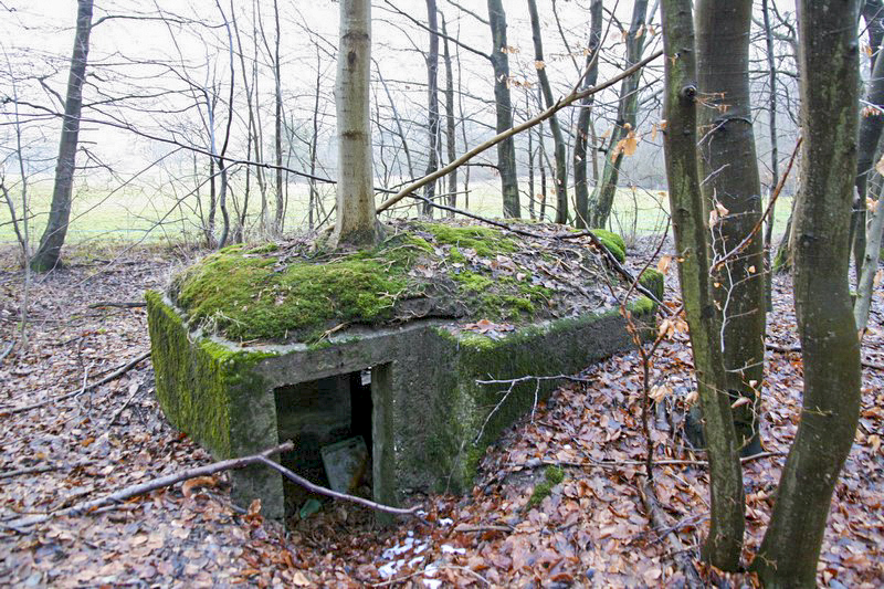 Ligne Maginot - HOCHWALD Ouest 5 ( Blockhaus pour arme infanterie ) -  - GRUBER Franck