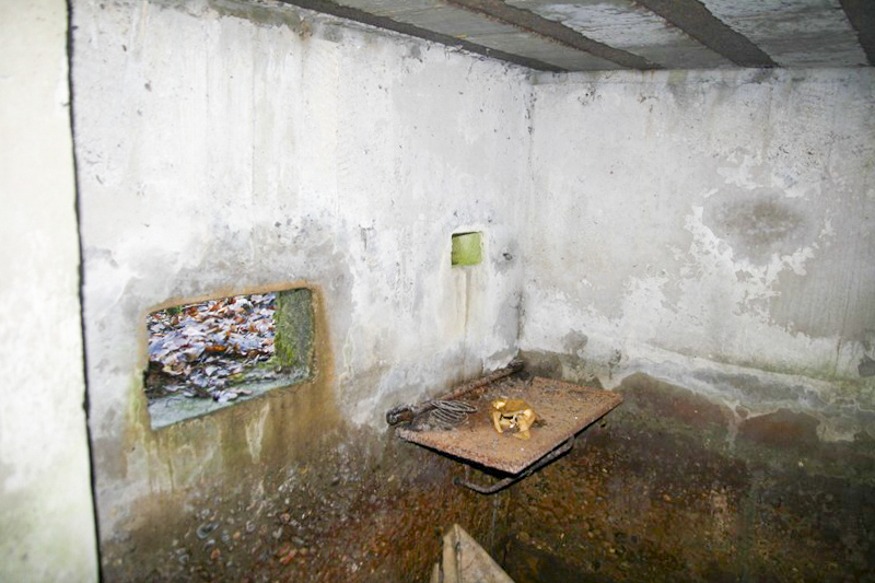 Ligne Maginot - HOCHWALD Ouest 5 ( Blockhaus pour arme infanterie ) -  - GRUBER Franck