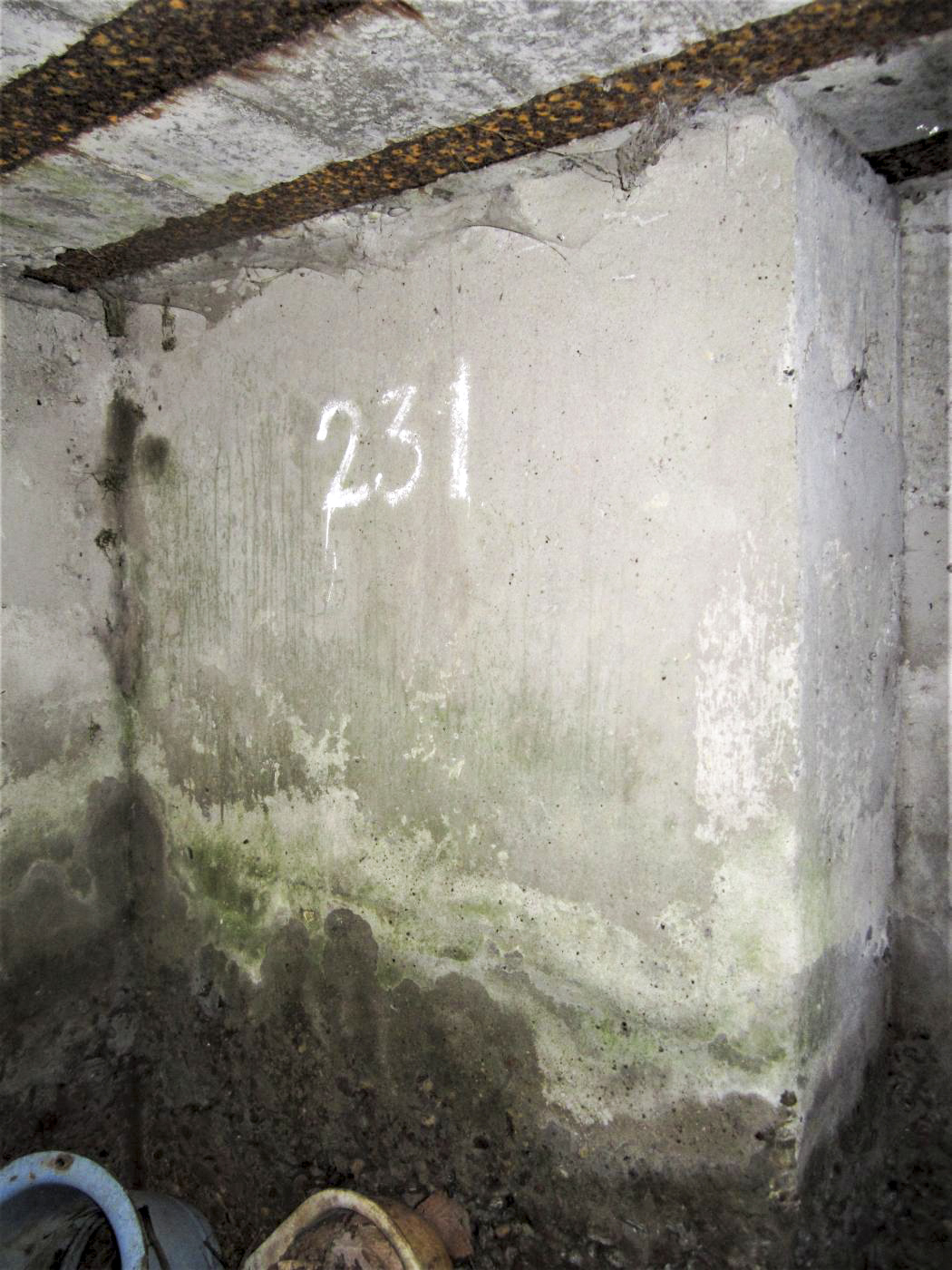 Ligne Maginot - HOCHWALD OUEST 5 - (Blockhaus pour arme infanterie) - Marquage '231' - Gregory Fuchs