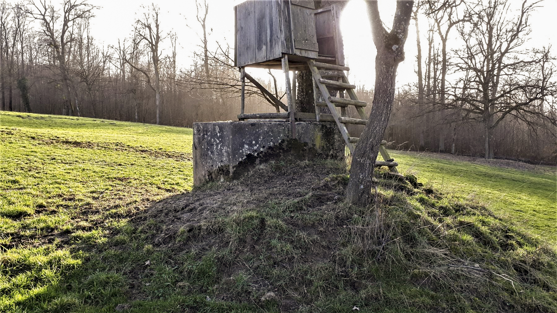 Ligne Maginot - SCHMELTZBACH EST - (Casemate d'infanterie - Double) - Niche à mines à proximité de la casemate - Gregory Fuchs