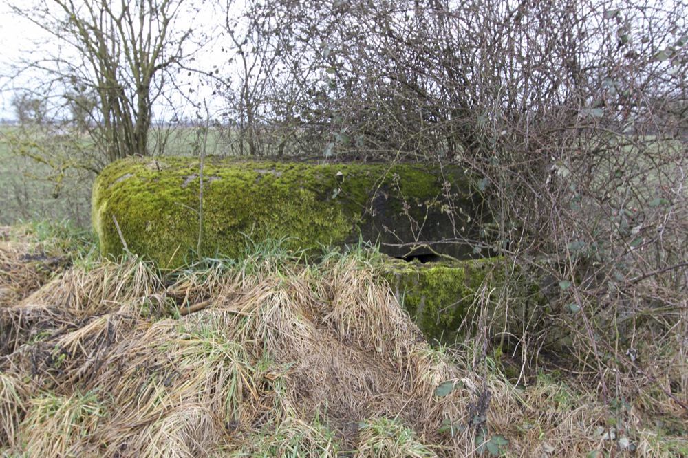 Ligne Maginot - BANGWOG NORD - (Blockhaus pour arme infanterie) -  - Les Gardiens du Rhin