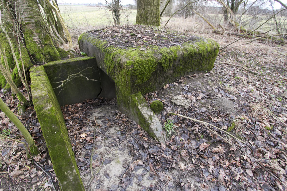 Ligne Maginot - BANGWOG Sud 1 (Blockhaus pour arme infanterie) -  - Les Gardiens du Rhin