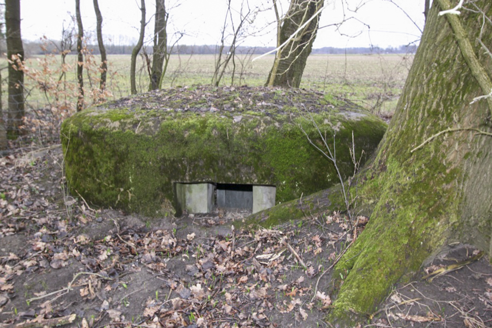 Ligne Maginot - BANGWOG Sud 1 (Blockhaus pour arme infanterie) -  - Les Gardiens du Rhin