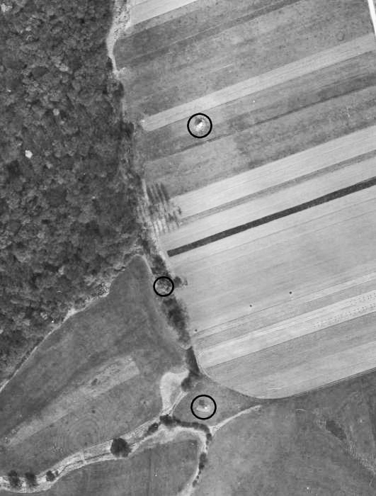 Ligne Maginot - BANGWOG Sud 2 - (Blockhaus pour arme infanterie) -  - IGN - Géoportail 1971