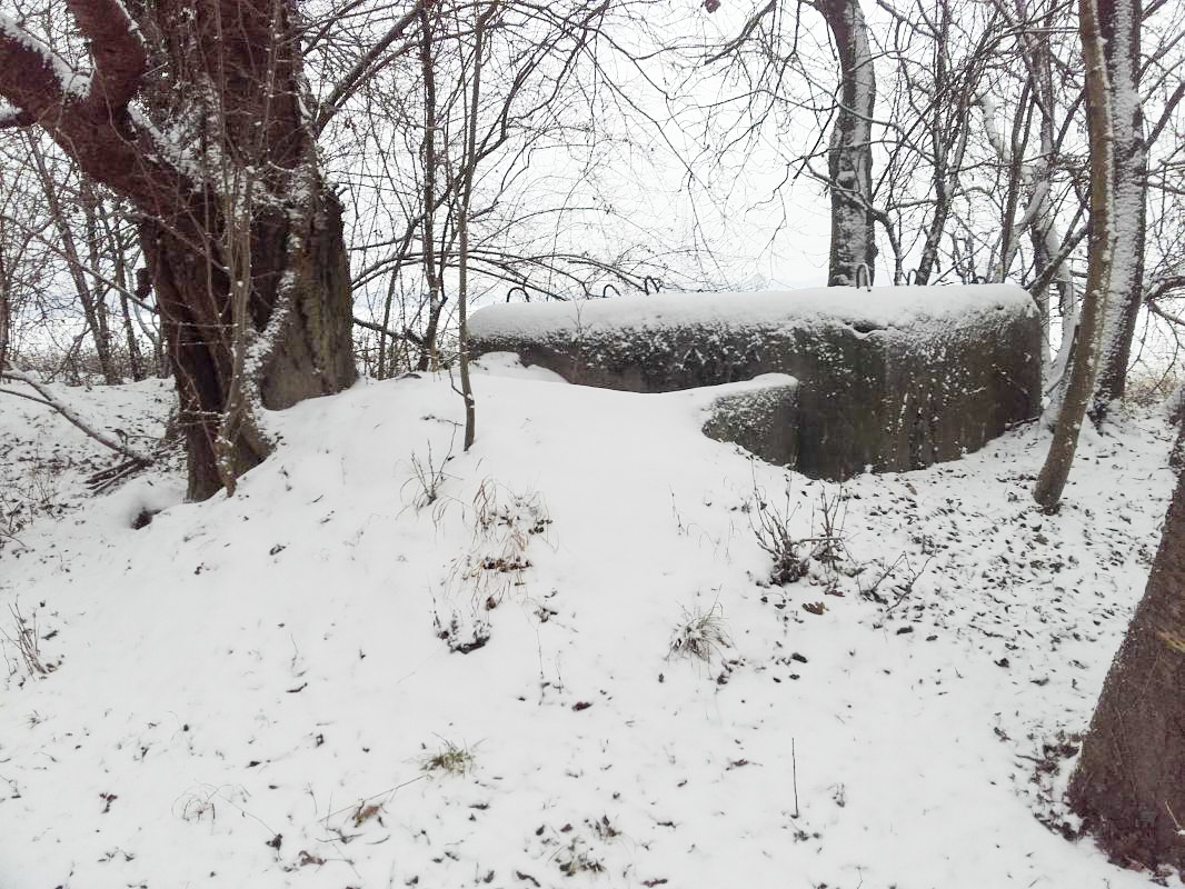Ligne Maginot - BANGWOG Sud 2 (Blockhaus pour arme infanterie) -  - Martz yannick