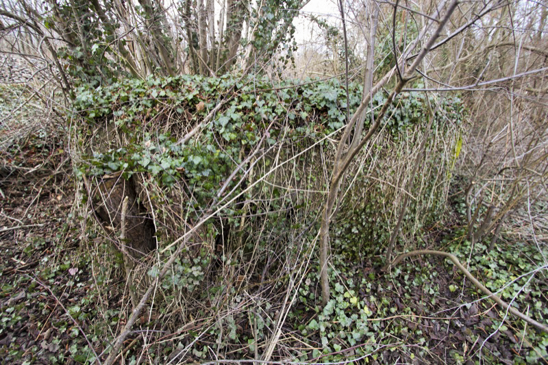 Ligne Maginot - BARRWALD Centre (Blockhaus pour arme infanterie) - Vue générale extérieure - Les Gardiens du Rhin