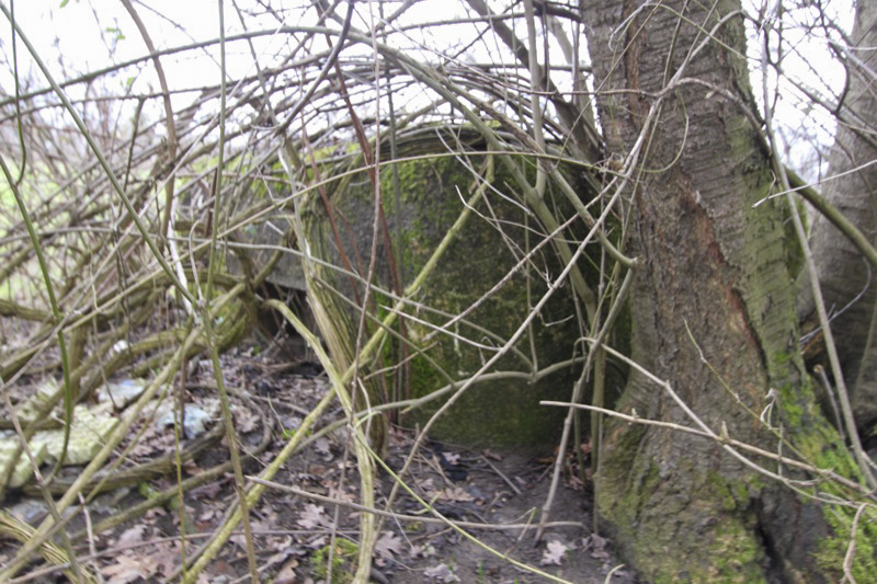 Ligne Maginot - BARRWALD Est (Blockhaus pour arme infanterie) -  - Les Gardiens du Rhin