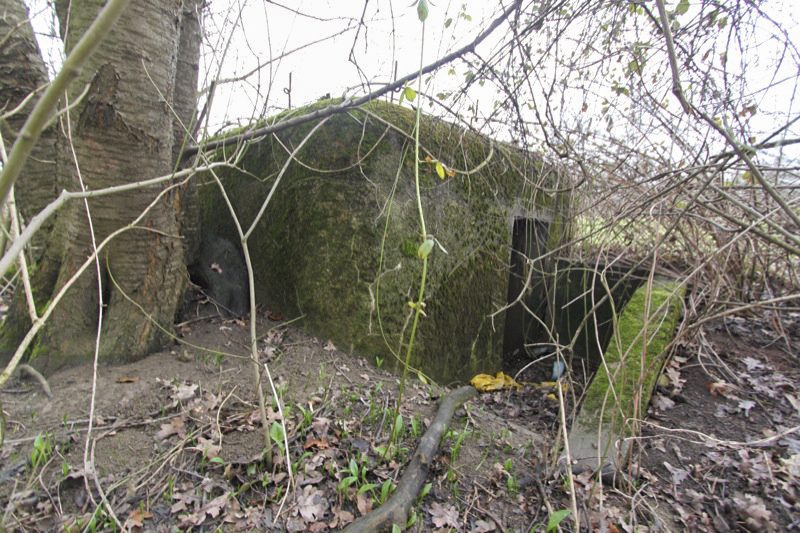 Ligne Maginot - BARRWALD Est (Blockhaus pour arme infanterie) -  - Les Gardiens du Rhin