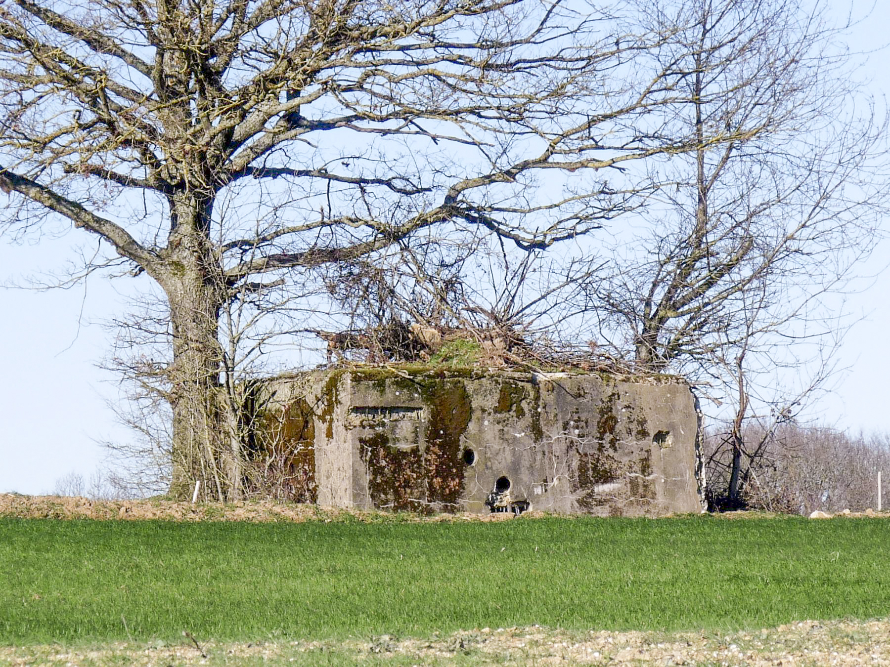 Ligne Maginot - CB259 - STRESSLING 3 - (Blockhaus pour arme infanterie) -  - Sylvie Laure LAMBERT
