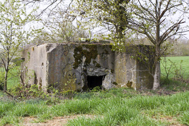 Ligne Maginot - CB259 - STRESSLING 3 - (Blockhaus pour arme infanterie) -  - www.arnaultjl-photo.com