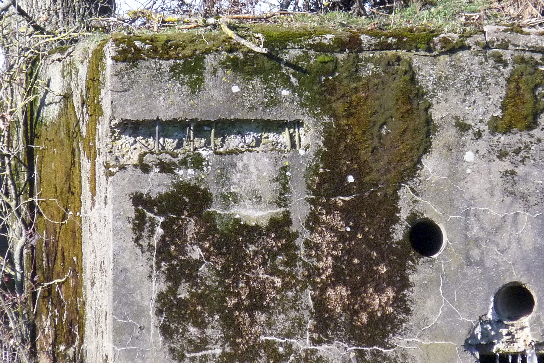 Ligne Maginot - CB259 - STRESSLING 3 - (Blockhaus pour arme infanterie) -  - Sylvie Laure LAMBERT