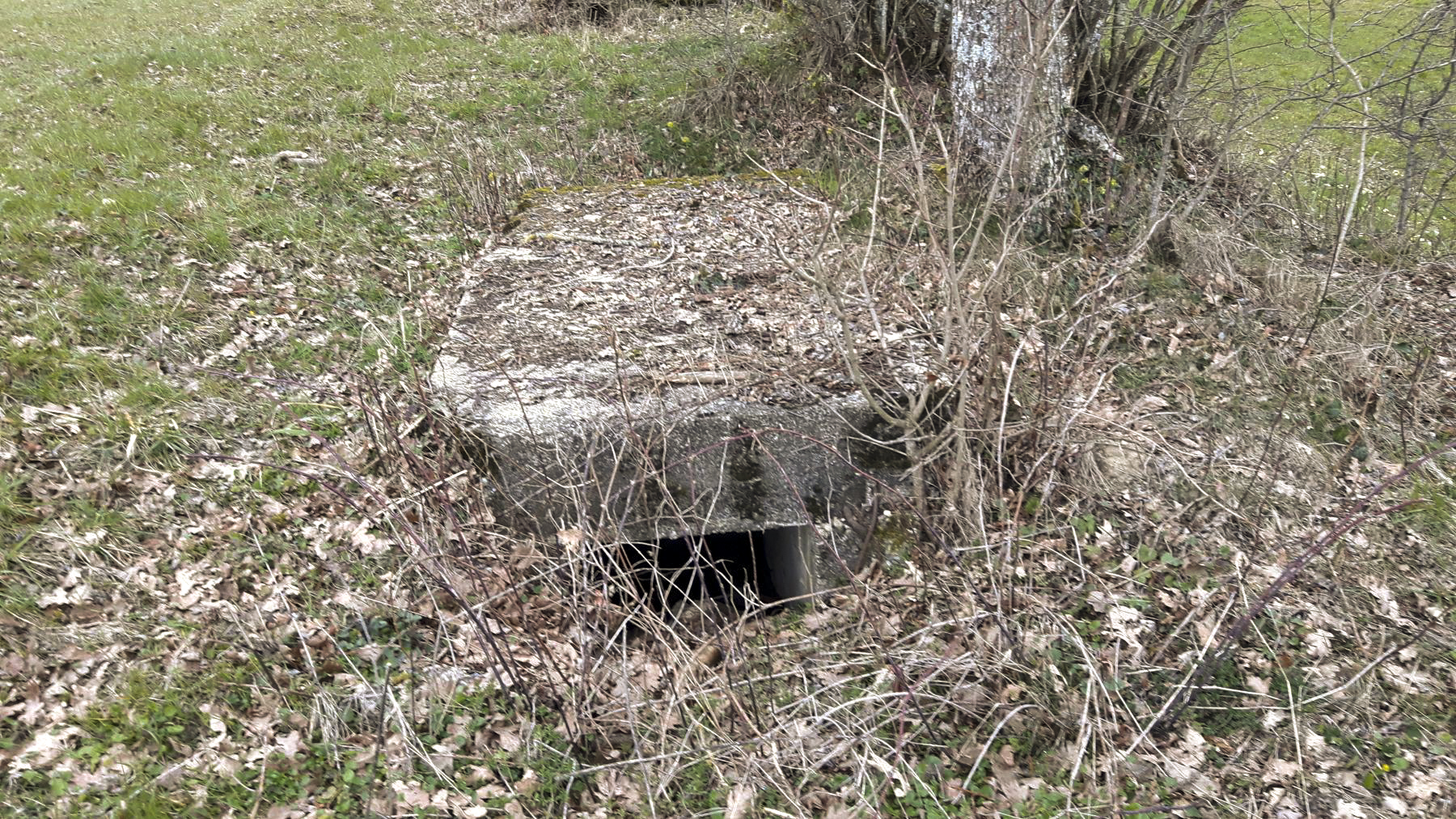 Ligne Maginot - GRILLY OUEST (4° BIE/II/9° RAD) - (Position d'artillerie préparée) - Alvéole à munitions - Dirk Netelenbos