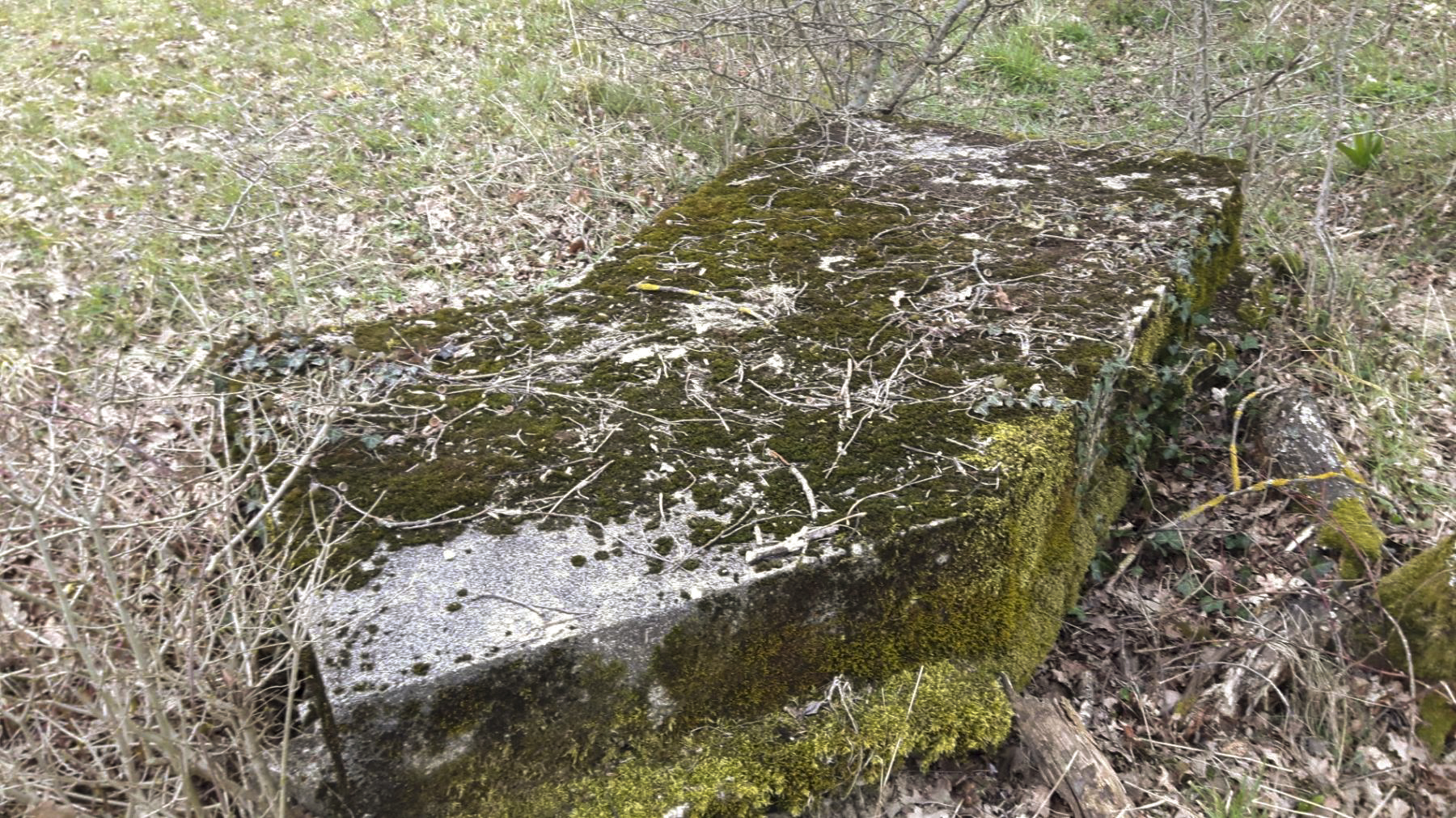 Ligne Maginot - GRILLY OUEST (4° BIE/II/9° RAD) - (Position d'artillerie préparée) - Alvéole à munitions - Dirk Netelenbos