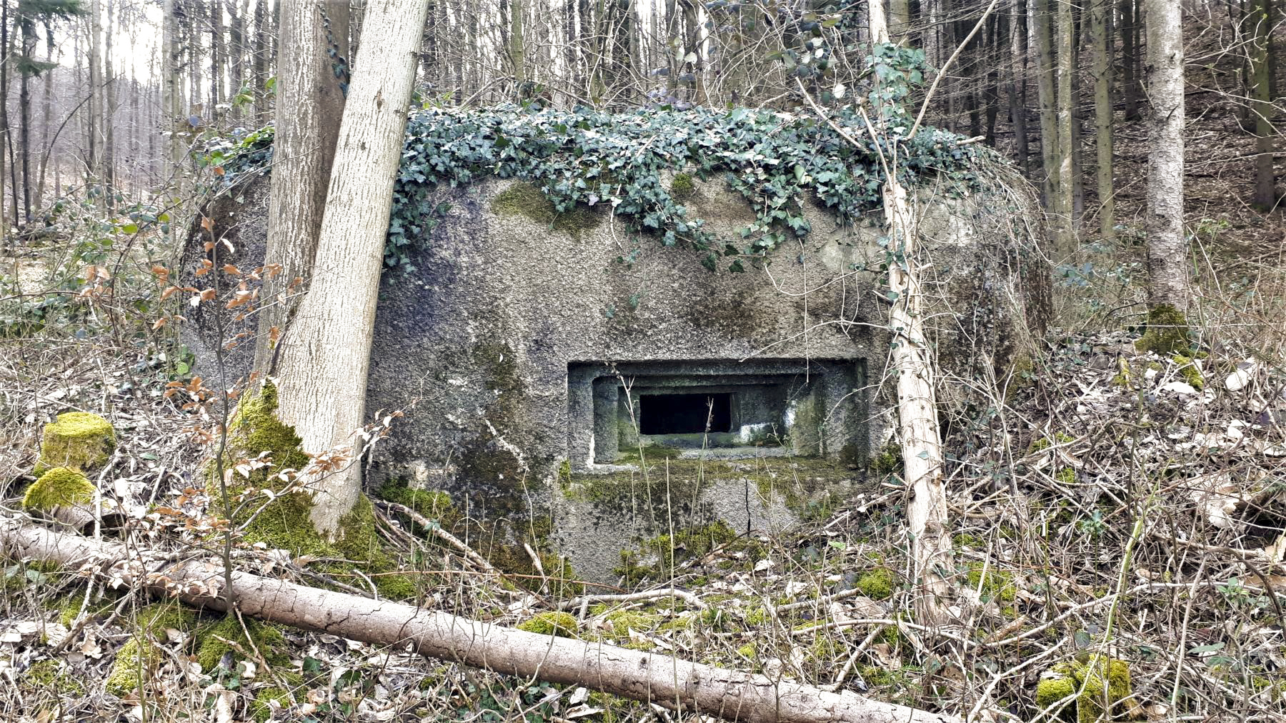Ligne Maginot - PFAFFENBRONN 3 - (Blockhaus pour arme infanterie) - Le créneau pour mitrailleuse - Gregory Fuchs