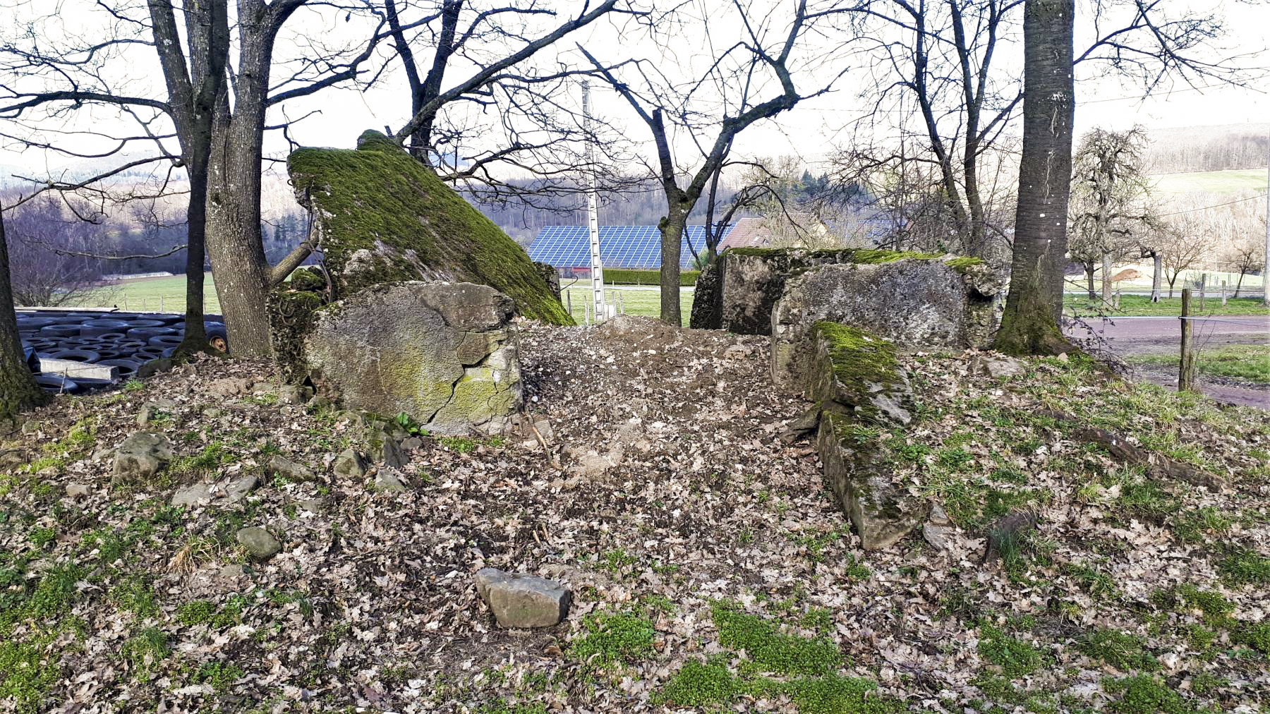 Ligne Maginot - PFAFFENBRONN 1 - (Blockhaus pour canon) - Entrée - Gregory Fuchs
