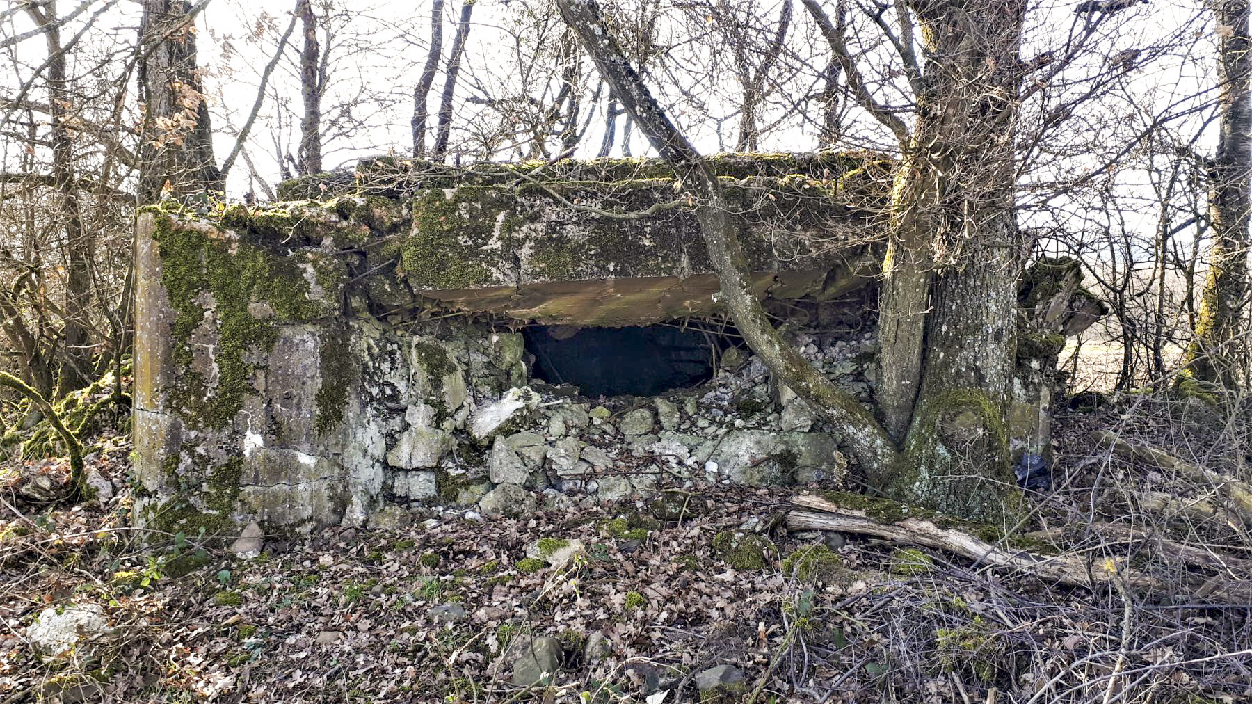 Ligne Maginot - SCHMELTZBACH 7 - (Blockhaus pour arme infanterie) - Créneau - Gregory Fuchs
