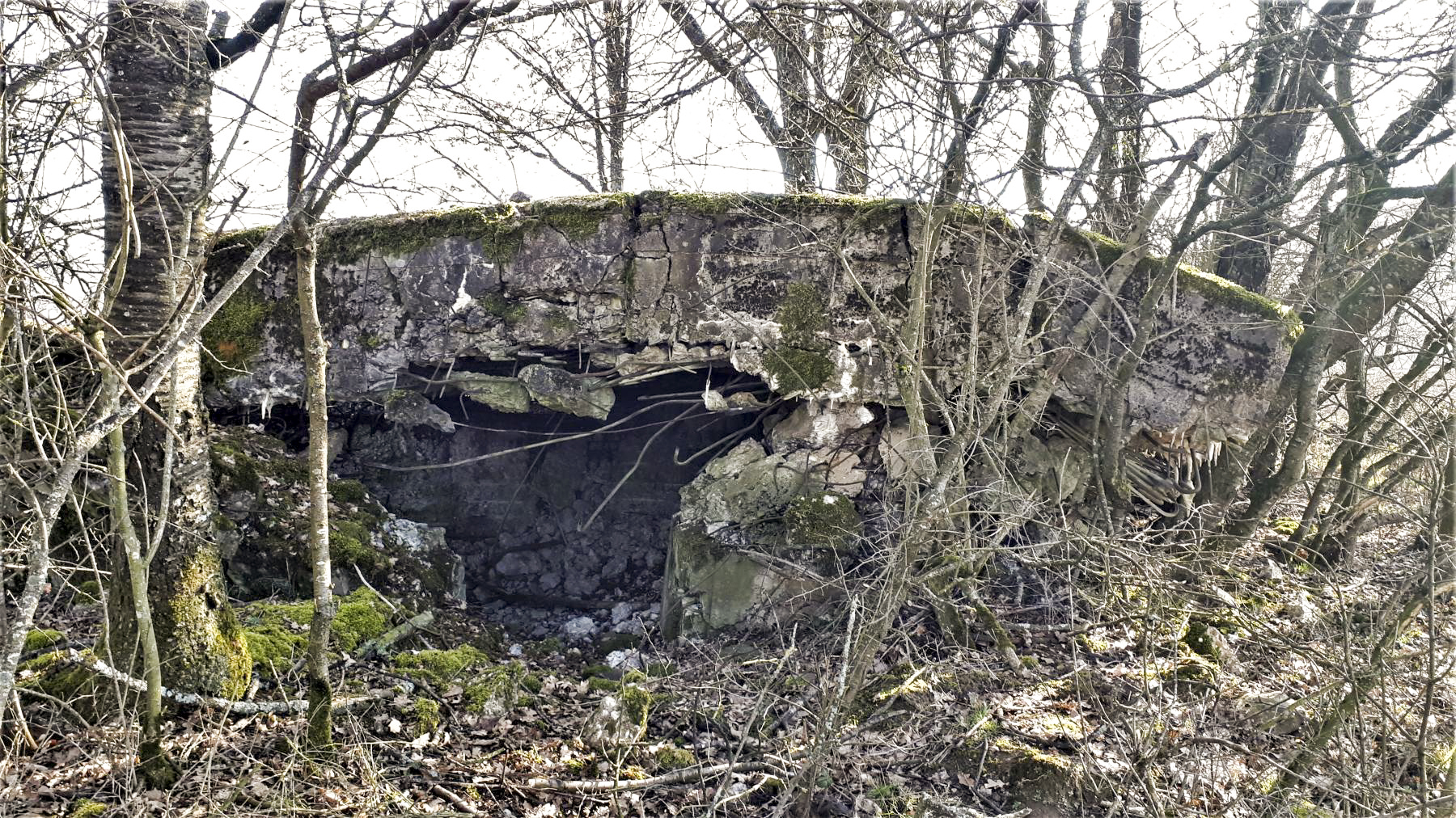 Ligne Maginot - SCHMELTZBACH 7 - (Blockhaus pour arme infanterie) - Entrée - Gregory Fuchs