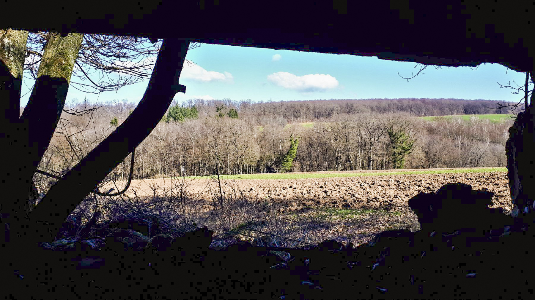 Ligne Maginot - SCHMELTZBACH 7 - (Blockhaus pour arme infanterie) - Vue depuis le créneau - Gregory Fuchs