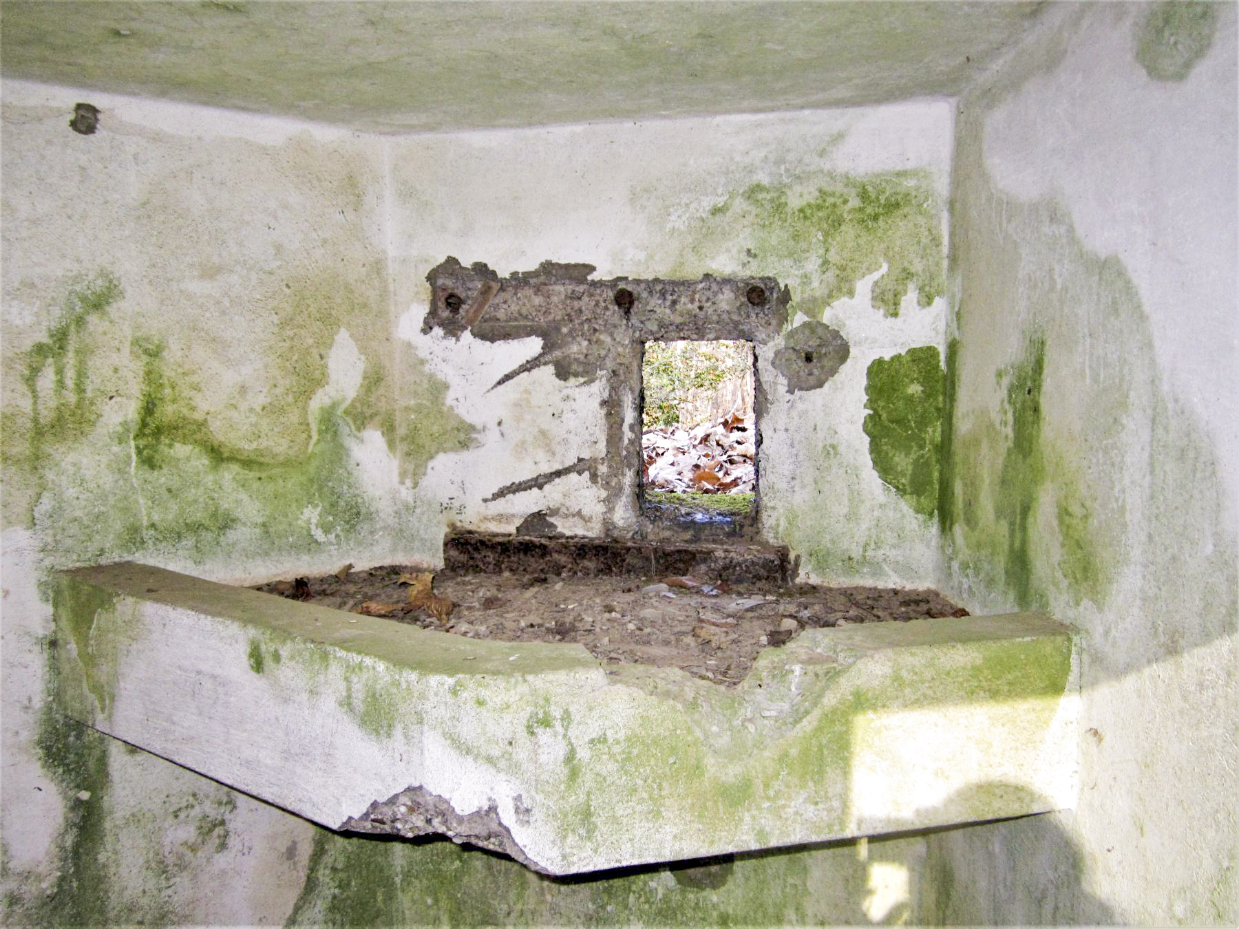 Ligne Maginot - PFAFFENBRONN 5 - (Blockhaus pour arme infanterie) - Le créneau frontal avec tablette de tir FM - Gregory Fuchs