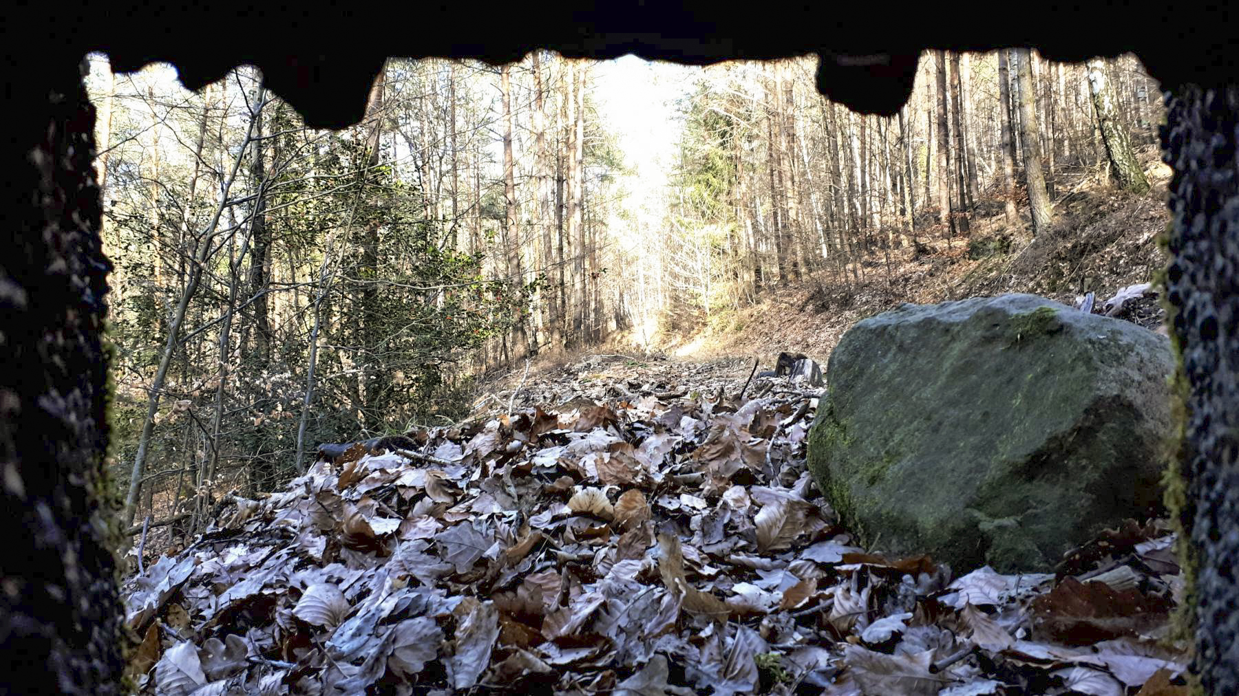 Ligne Maginot - PFAFFENBRONN 5 - (Blockhaus pour arme infanterie) - Vue depuis le créneau frontal - Gregory Fuchs