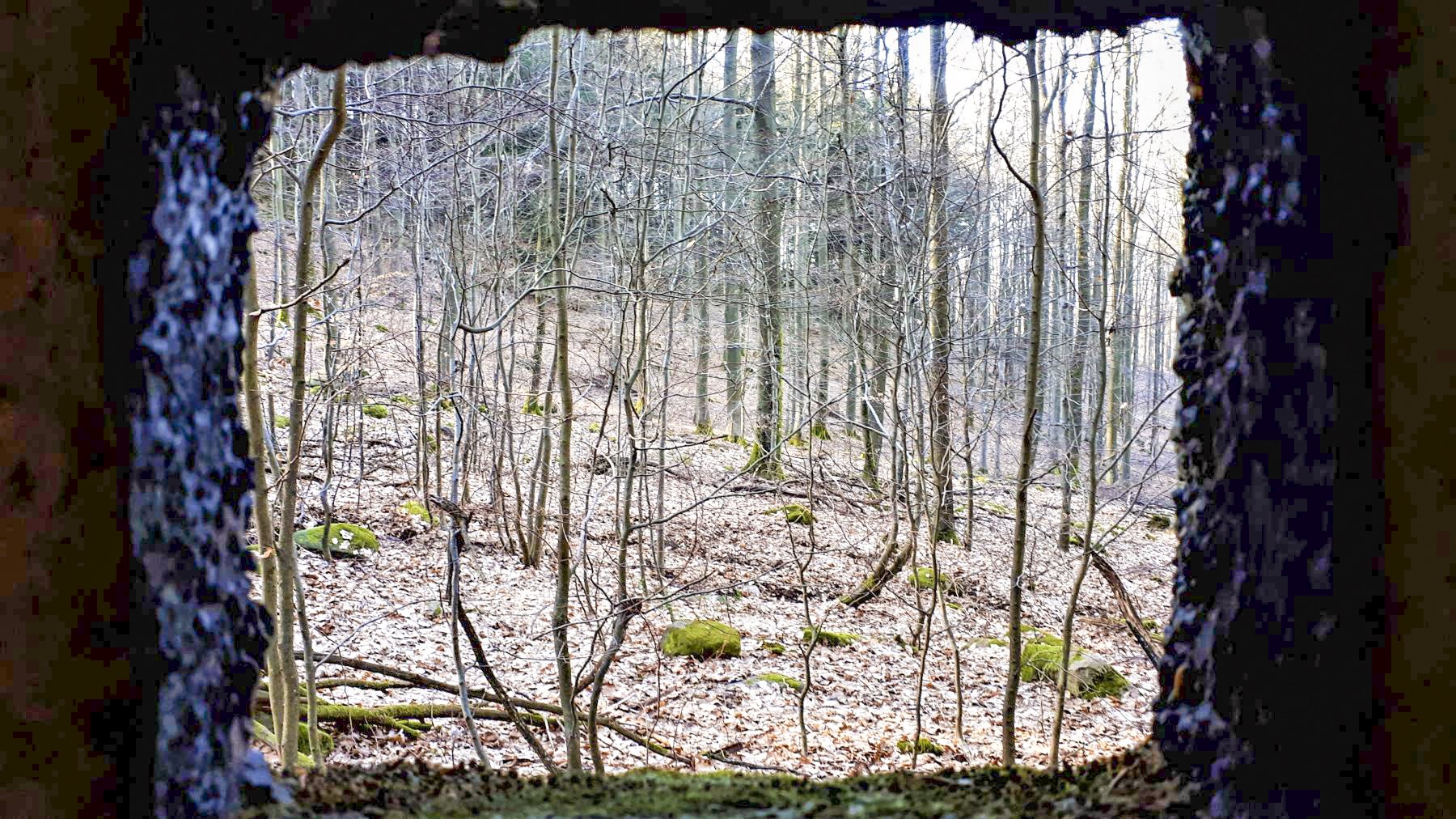 Ligne Maginot - PFAFFENBRONN 5 - (Blockhaus pour arme infanterie) - Vue depuis le créneau latéral - Gregory Fuchs
