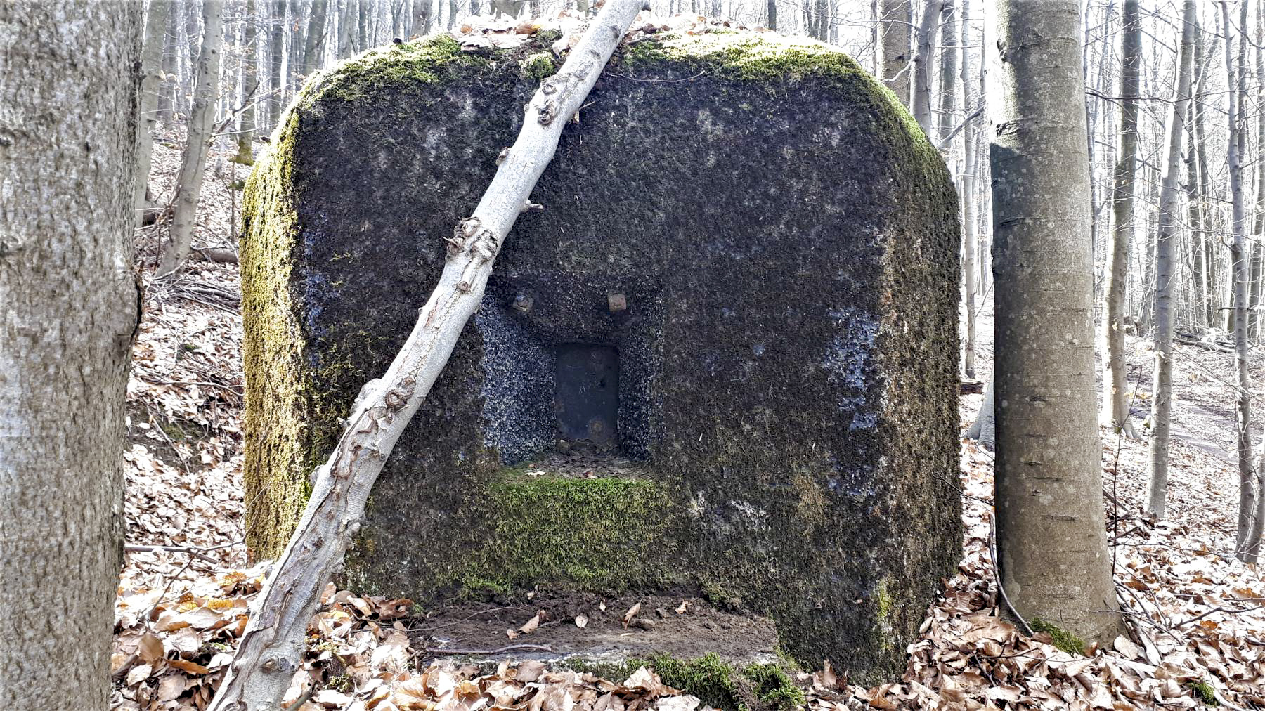 Ligne Maginot - PFAFFENBRONN 2 - (Blockhaus pour arme infanterie) - Créneau frontal - Gregory Fuchs