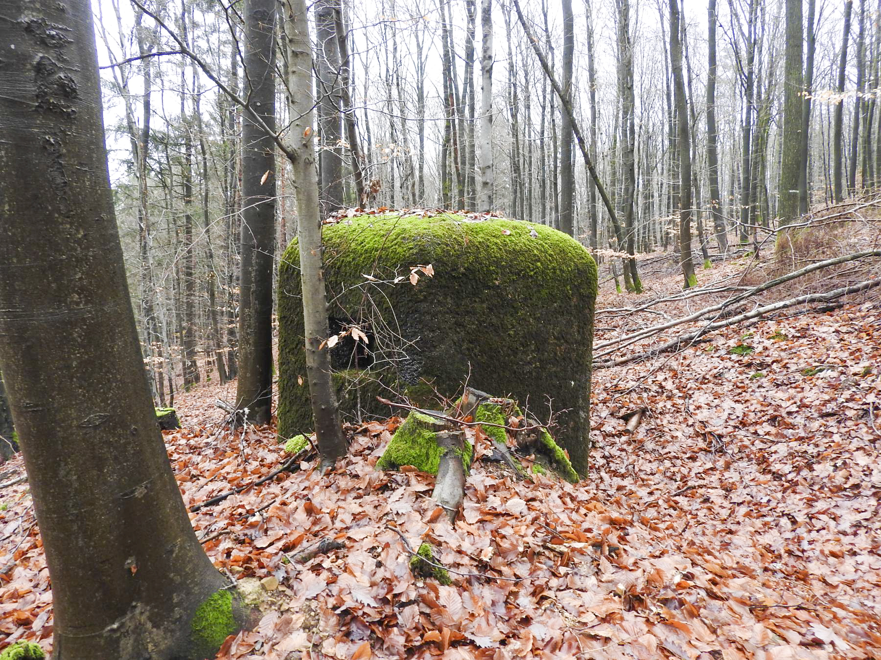 Ligne Maginot - PFAFFENBRONN 2 - (Blockhaus pour arme infanterie) - Créneau latéral de défense rapprochée - STENGER Mathieu