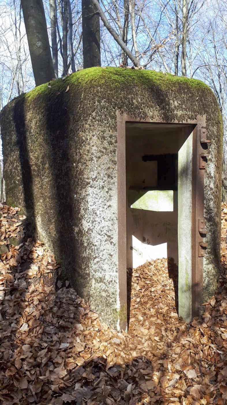 Ligne Maginot - PFAFFENBRONN 2 - (Blockhaus pour arme infanterie) - L'entrée - Gregory Fuchs
