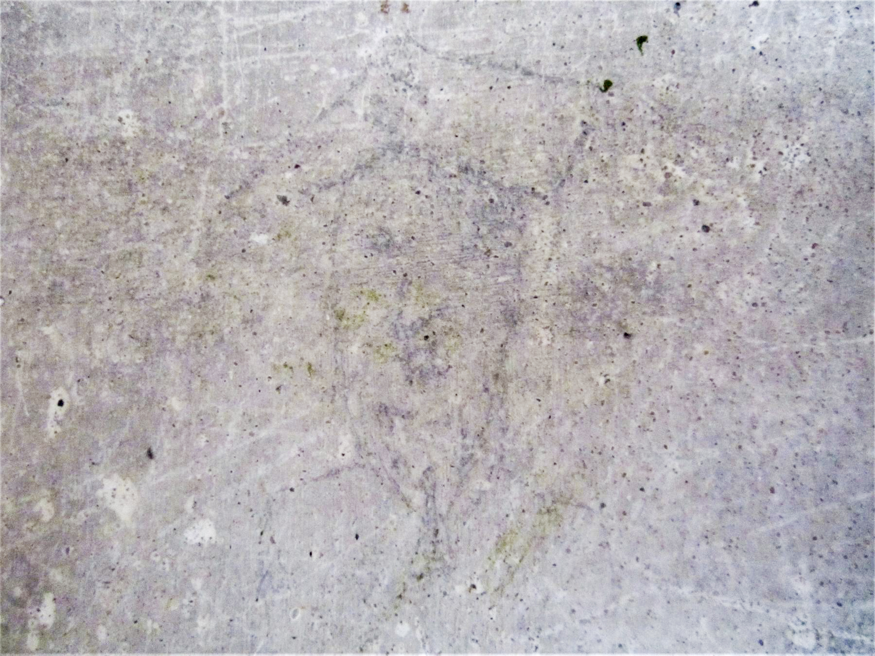 Ligne Maginot - PFAFFENBRONN 2 - (Blockhaus pour arme infanterie) - Graffiti - Gregory Fuchs