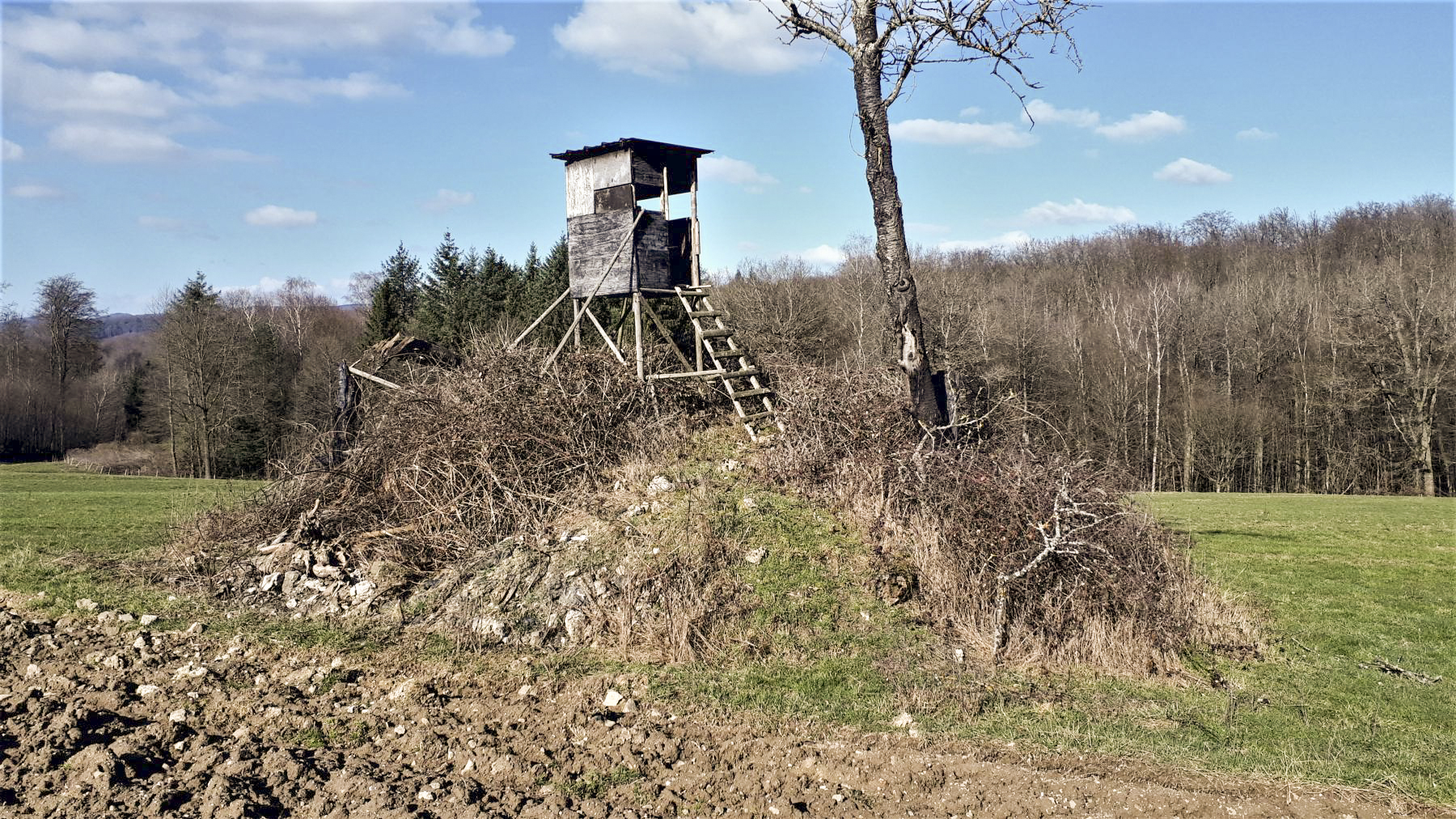 Ligne Maginot - SCHMELTZBACH 6 - (Blockhaus de type indéterminé) -  - Gregory Fuchs