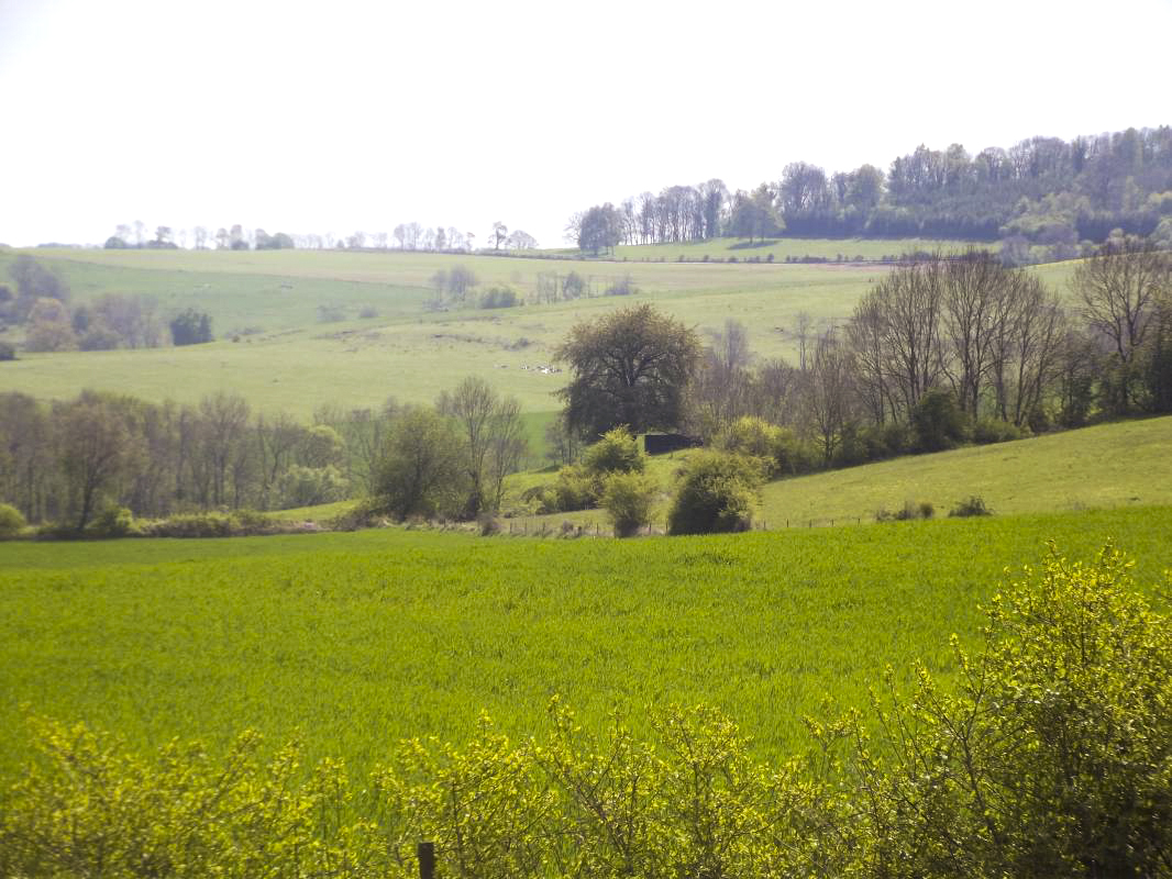 Ligne Maginot - N - LE RETAY - (Blockhaus pour canon) - Vue du  créneau FM vers Bb 175 - David HARMAND
